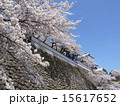 桜咲く石川門 15617652