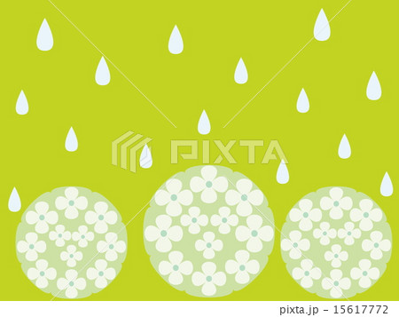 あじさい 雨 しずく あじさい 雨 しずく 15617772