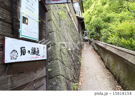 尾道の猫の細道 15618158