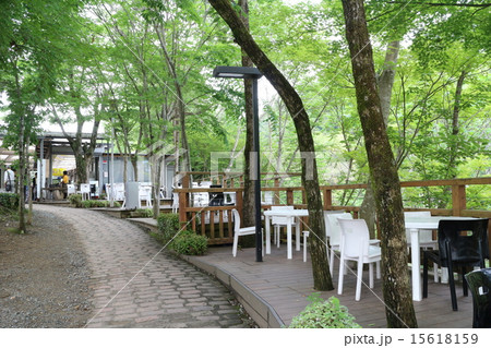 内子フレッシュパークからり 内子フレッシュパークからり 15618159