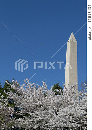 Festival and Washington Memorial Festival and Washington Memorial 15618435