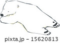 寝そべるシロクマ 15620813