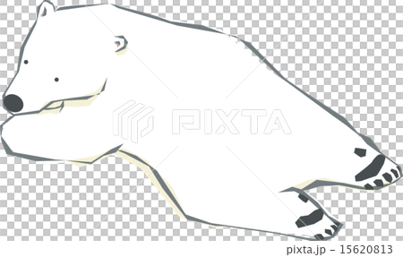 寝そべるシロクマ 15620813
