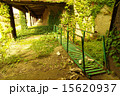 緑の橋 15620937