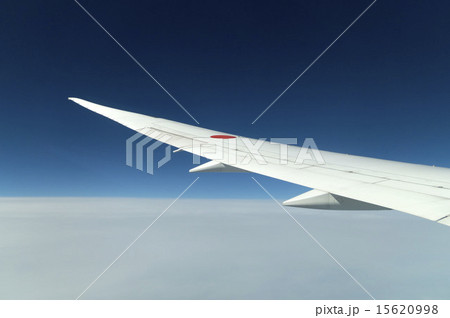 青空に映える翼 青空に映える翼 15620998