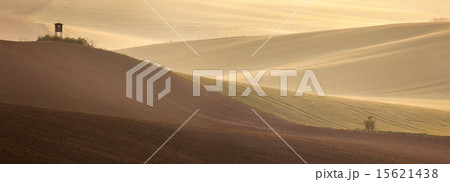 Beautiful countryside fields  landscape at sunrise 15621438