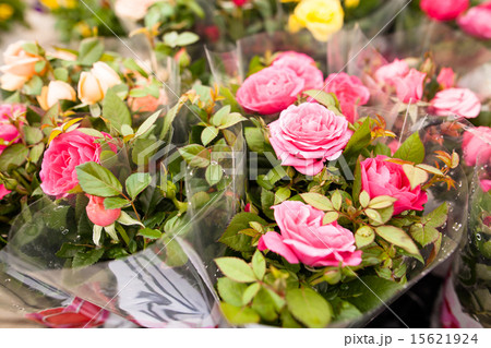 Beautiful flowers 15621924