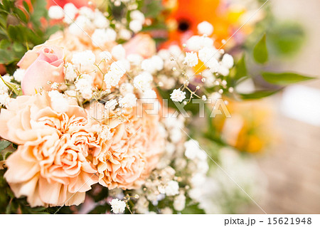 Beautiful flowers Beautiful flowers 15621948