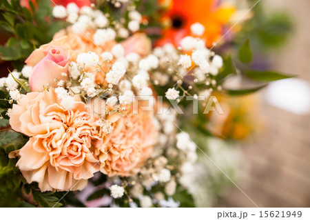 Beautiful flowers Beautiful flowers 15621949