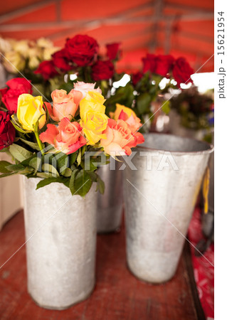 Beautiful flowers Beautiful flowers 15621954