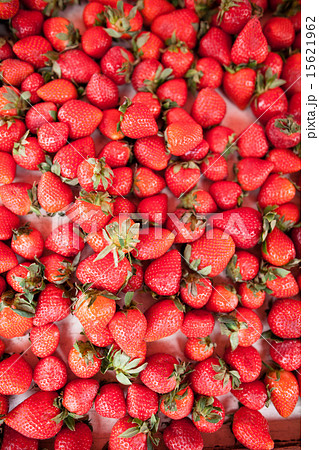 Fresh strawberries Fresh strawberries 15621962
