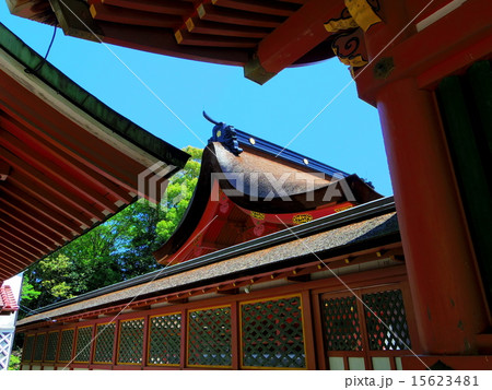 津島神社 15623481