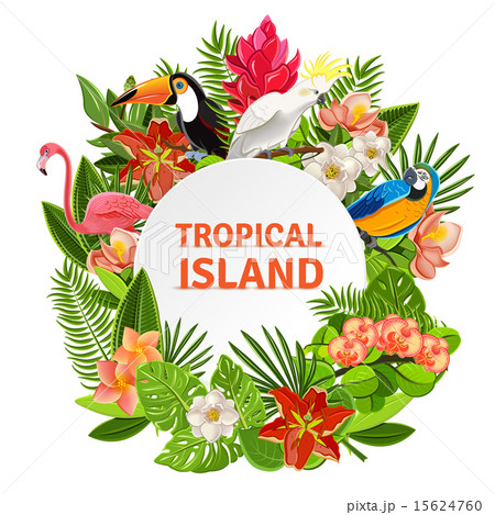 Tropical birs and flowers  15624760