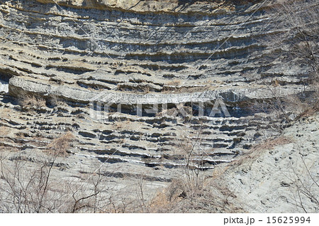 露出した地層(赤平川・左岸/埼玉県秩父郡小鹿野町) 露出した地層(赤平川・左岸/埼玉県秩父郡小鹿野町) 15625994