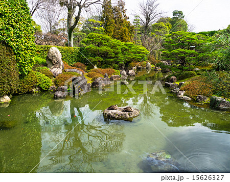城南宮の庭園 15626327