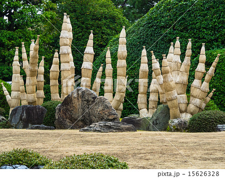 城南宮の庭園 15626328