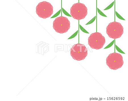 さくら　枝垂桜　八重桜 15626592