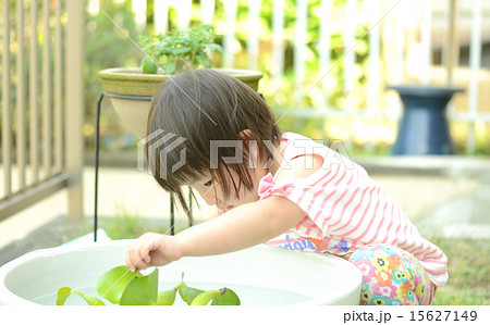 何がいるのかな？好奇心旺盛な幼児 15627149