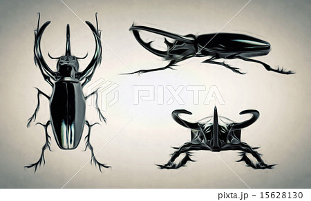 black rhinoceros beetle 15628130