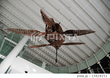 プレシオサウルス　骨格 15628151