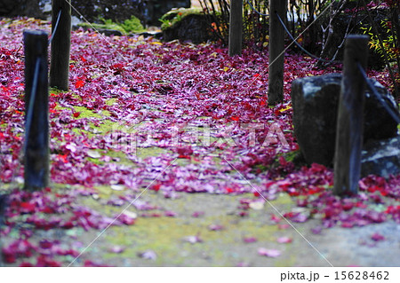 久安寺 1 久安寺 1 15628462