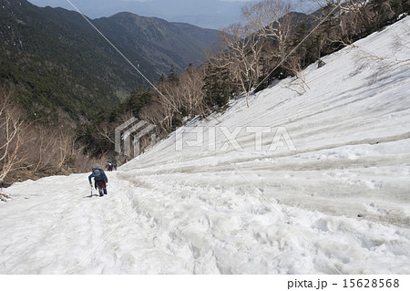 北アルプス雪渓 15628568