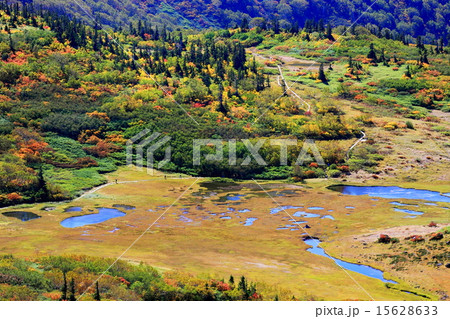 火打山から俯瞰した天狗の庭 火打山から俯瞰した天狗の庭 15628633