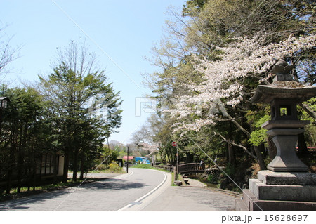 信濃追分　旧中仙道 15628697