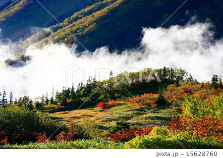 夕暮れの天狗の庭の湿原と湧く雲 15628760