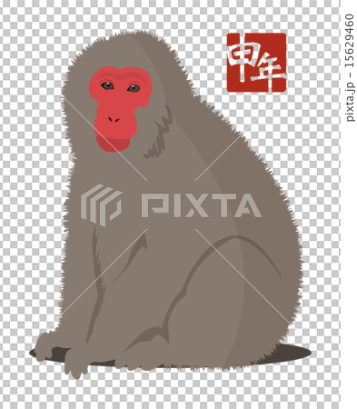 サル(年賀状用素材） 15629460