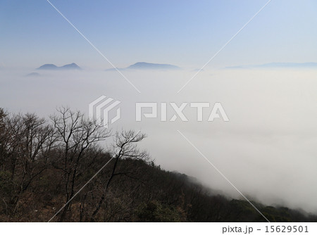 七宝山から見た濃霧の三豊平野（左から、善通寺五岳、大麻山） 15629501