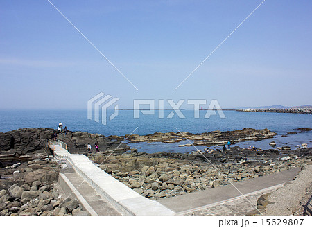 黄金岬、黄金岬海浜公園 15629807