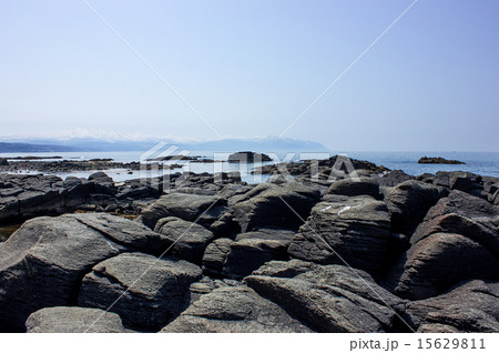 黄金岬、黄金岬海浜公園 15629811