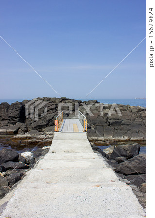 黄金岬、黄金岬海浜公園 15629824