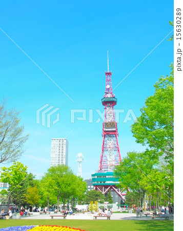 札幌大通り公園とテレビ塔 15630289