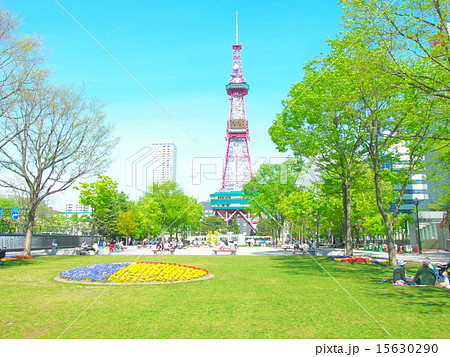 札幌大通り公園とテレビ塔の写真素材