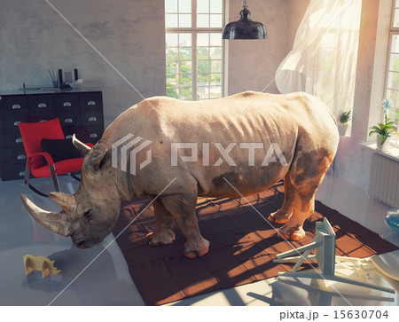 rhinoceros in the room 15630704