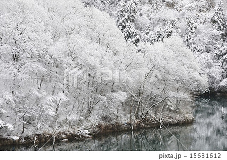 雪の湖畔 15631612