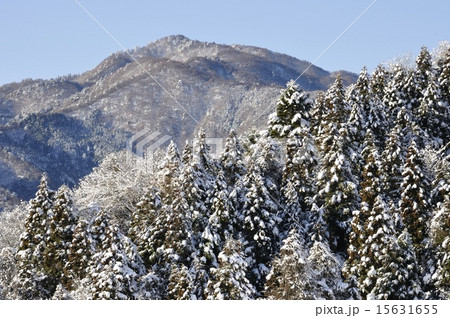 雪化粧した本間ノ頭 15631655