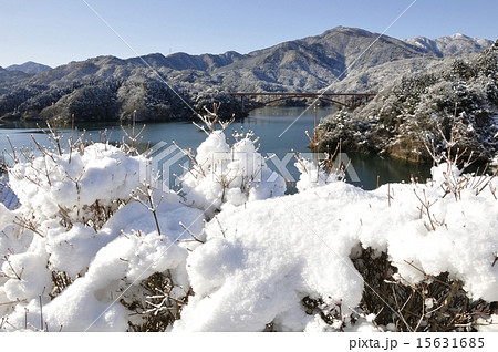 雪化粧した宮ヶ瀬湖 雪化粧した宮ヶ瀬湖 15631685