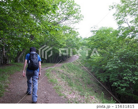 川苔山の山道 15631815