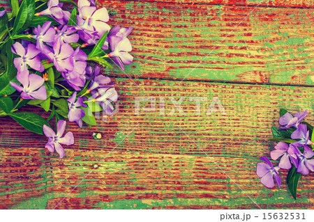Grunge wooden background with periwinkle flowers 15632531