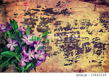 Grunge background with periwinkle 15632534