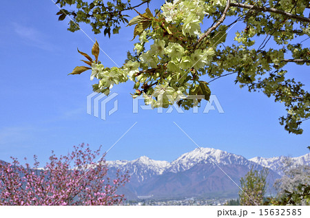 大町、市民の森より 15632585