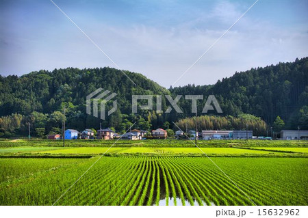 田園 15632962