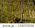 古城の壁に刻まれた文字 15633036