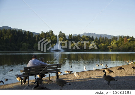 スタンレーパーク 15633192