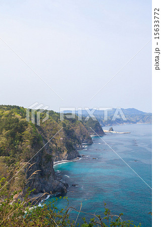 岩手県　三陸復興国立公園　鵜の巣断崖 15633772