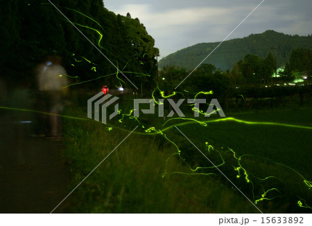 源氏ぼたるの里、いすみ市大原 15633892