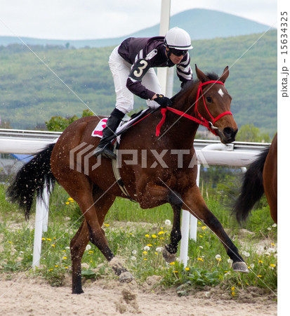 The winner The winner 15634325